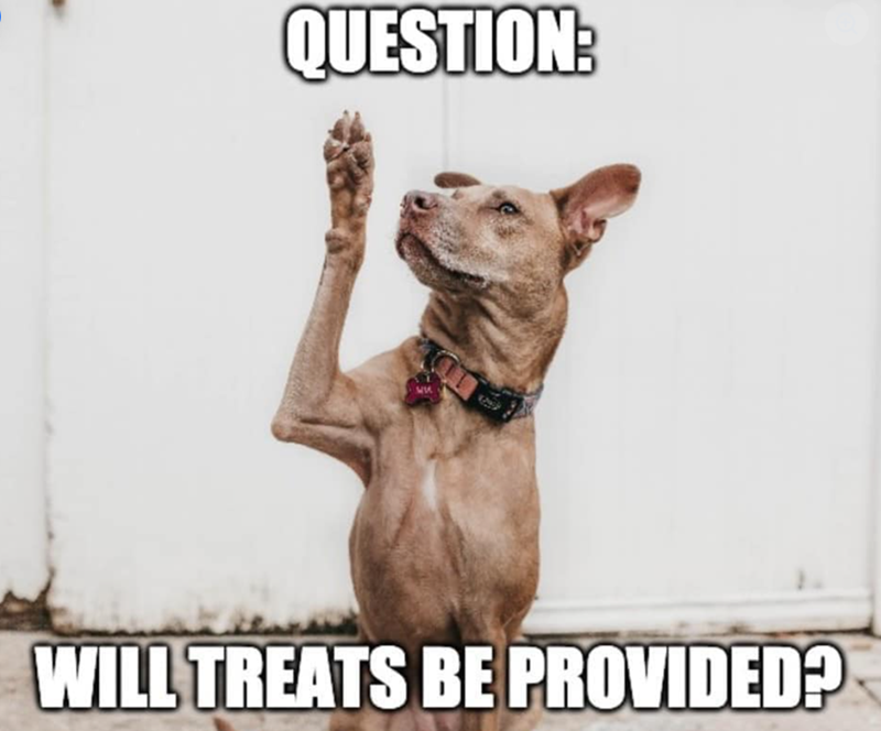 QUESTION: WILL TREATS BE PROVIDED?