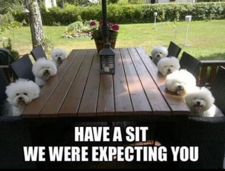HAVE A SIT WE WERE EXPECTING YOU