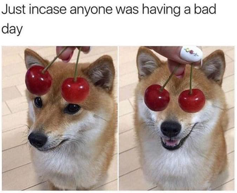 Just incase anyone was having a bad day