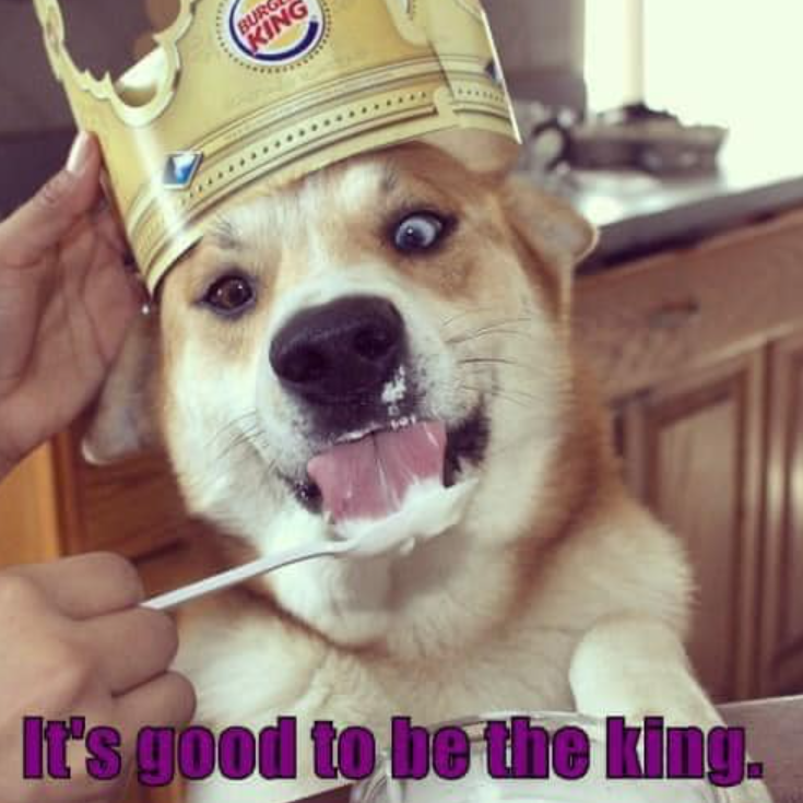 BURG KING It's good to be the king.