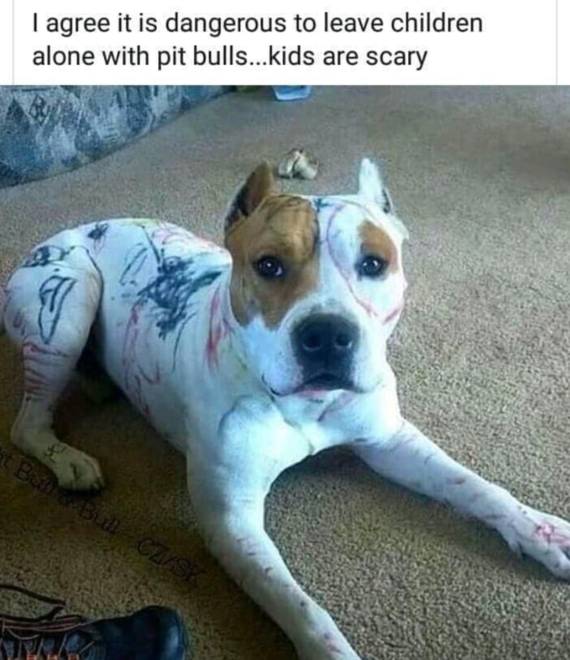 I agree it is dangerous to leave children alone with pit bulls...kids are scary t Bal & Bull CZ/SK