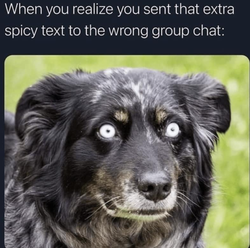 When you realize you sent that extra spicy text to the wrong group chat: