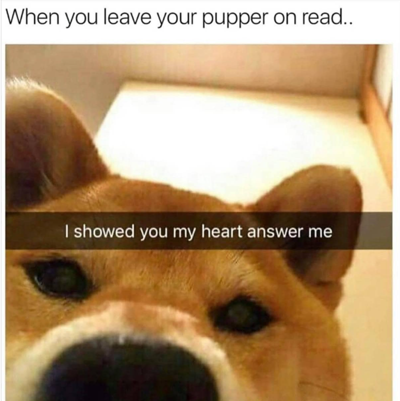 When you leave your pupper on read.. I showed you my heart answer me