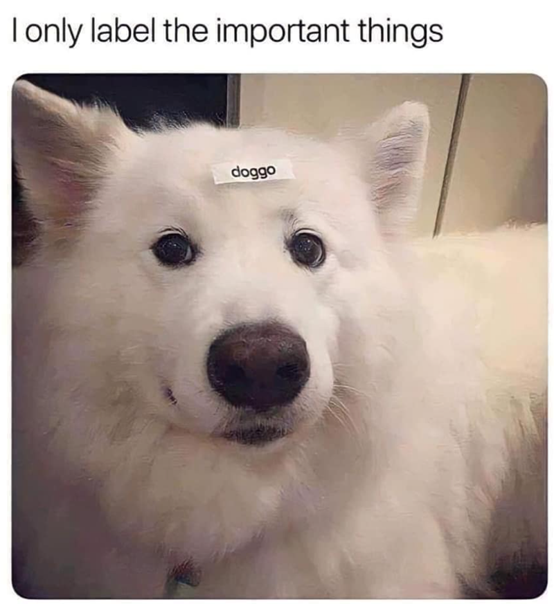 I only label the important things. doggo