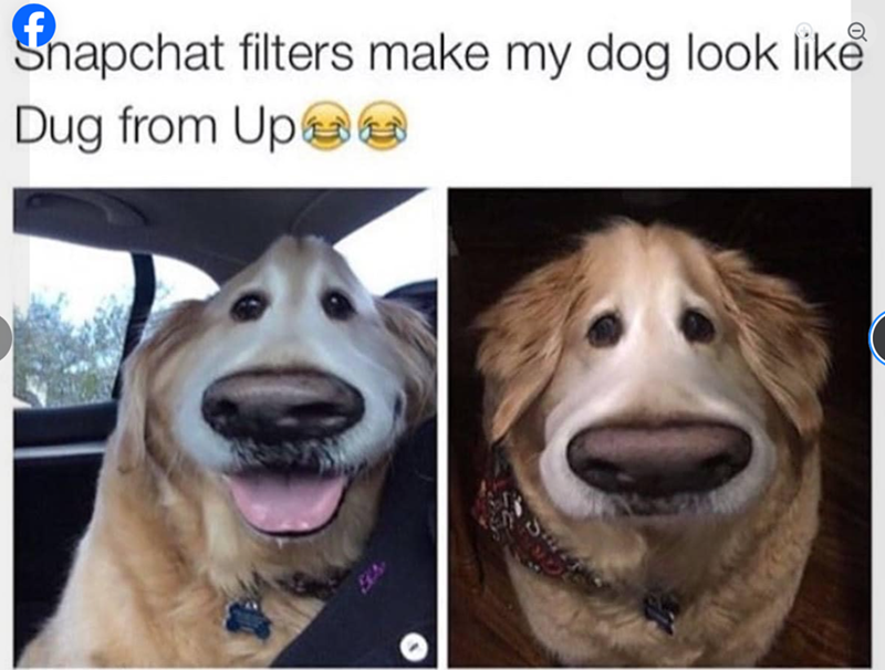 Snapchat filters make my dog look like Dug from Up