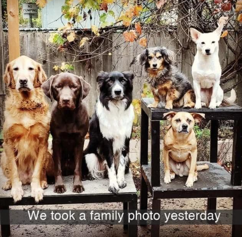 NO CUMPING We took a family photo yesterday