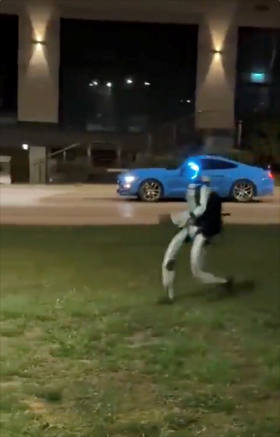 Cheezburger Image 10623898880