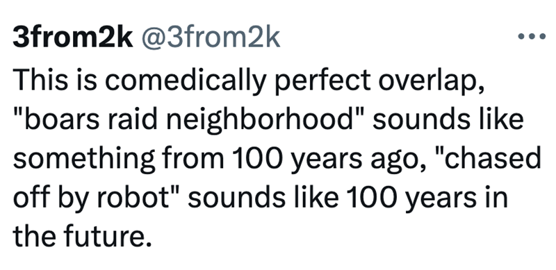 3from2k @3from2k This is comedically perfect overlap, "boars raid neighborhood" sounds like something from 100 years ago, "chased off by robot" sounds like 100 years in the future.