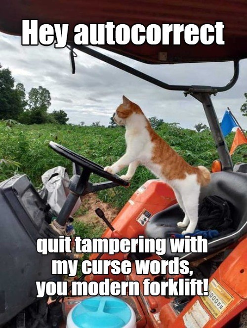 Cheezburger Image 10623917056