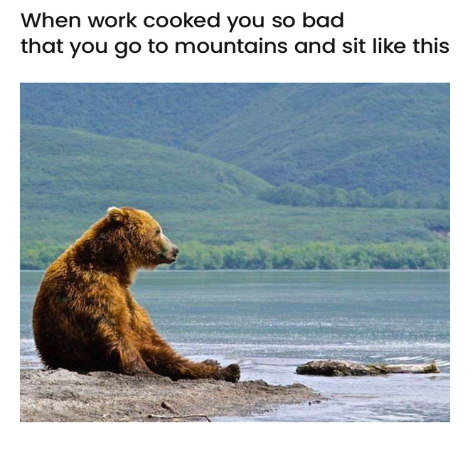 When work cooked you so bad that you go to mountains and sit like this