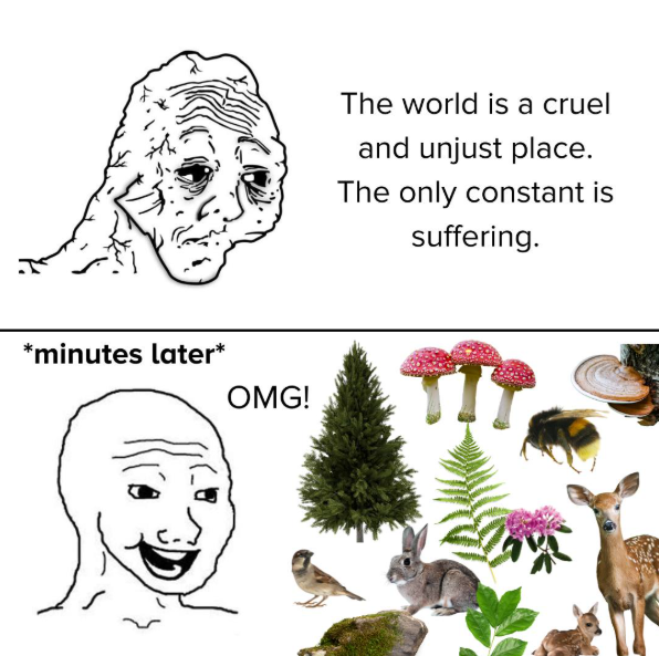 *minutes later* OMG! The world is a cruel and unjust place. The only constant is suffering.