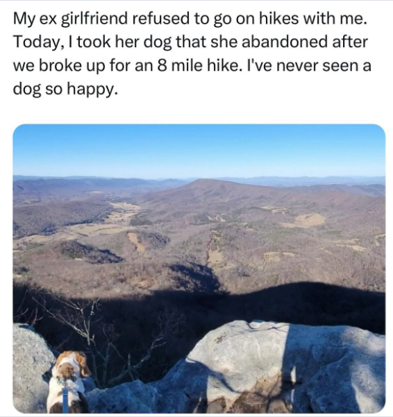 My ex girlfriend refused to go on hikes with me. Today, I took her dog that she abandoned after we broke up for an 8 mile hike. I've never seen a dog so happy.