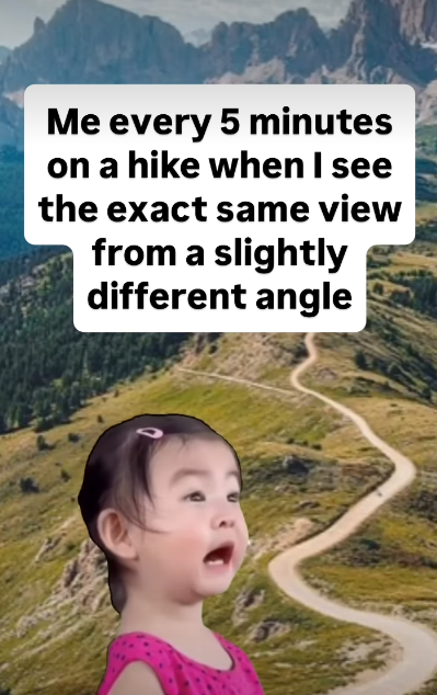 Me every 5 minutes on a hike when I see the exact same view from a slightly different angle