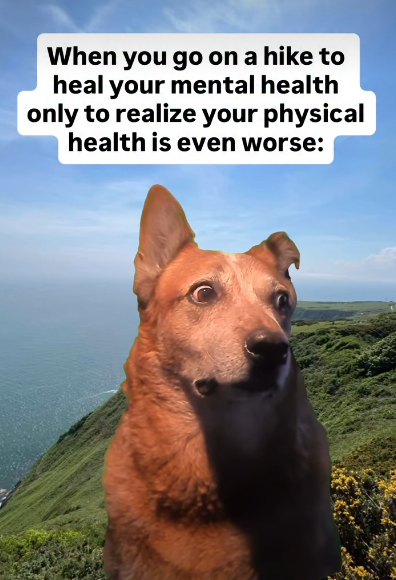 When you go on a hike to heal your mental health only to realize your physical health is even worse: