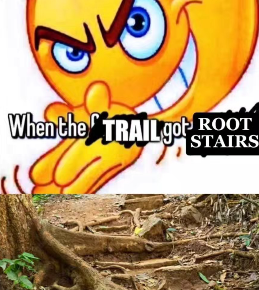 When the TRAIL got ROOT STAIRS