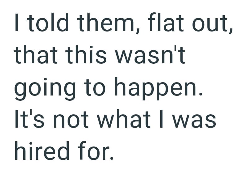 I told them, flat out, that this wasn't going to happen. It's not what I was hired for.
