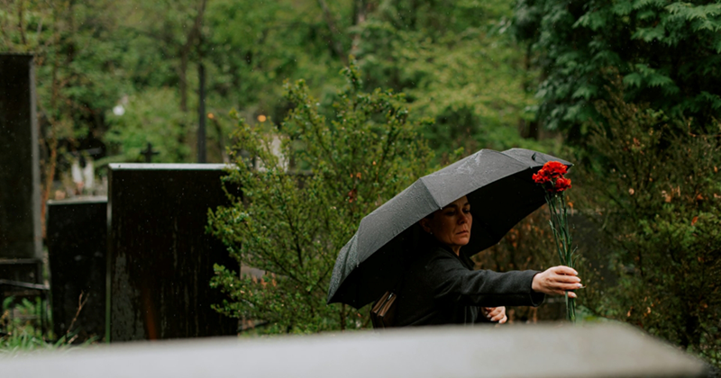 Cheezburger Image 10623928576