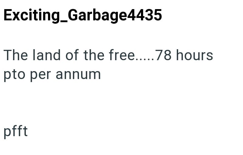 Exciting_Garbage4435 The land of the free.....78 hours pto per annum pfft