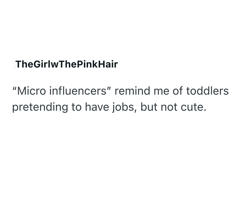 TheGirlwThePinkHair "Micro influencers" remind me of toddlers pretending to have jobs, but not cute.