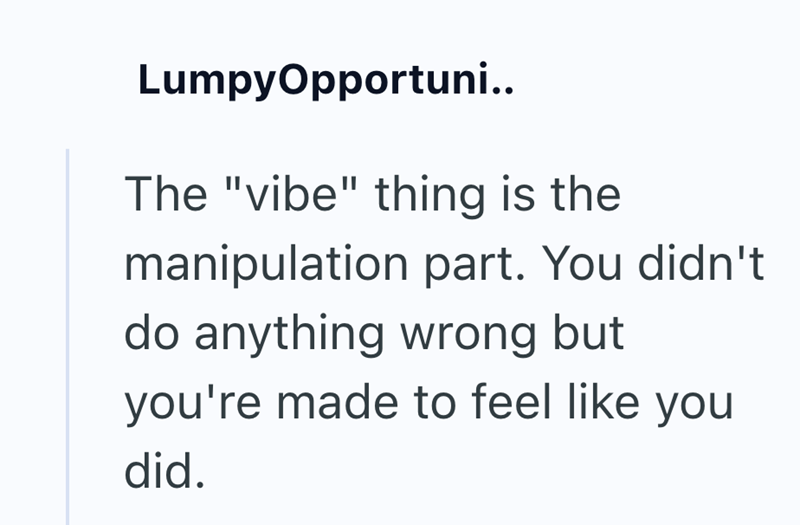 LumpyOpportuni.. The "vibe" thing is the manipulation part. You didn't do anything wrong but you're made to feel like you did.