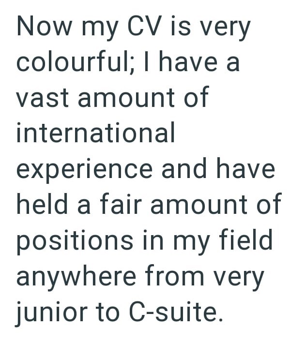 Now my CV is very colourful; I have a vast amount of international experience and have held a fair amount of positions in my field anywhere from very junior to C-suite.