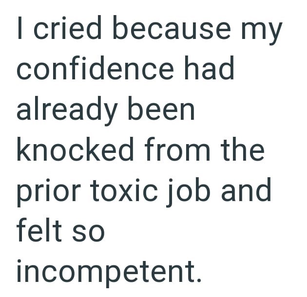 I cried because my confidence had already been knocked from the prior toxic job and felt so incompetent.