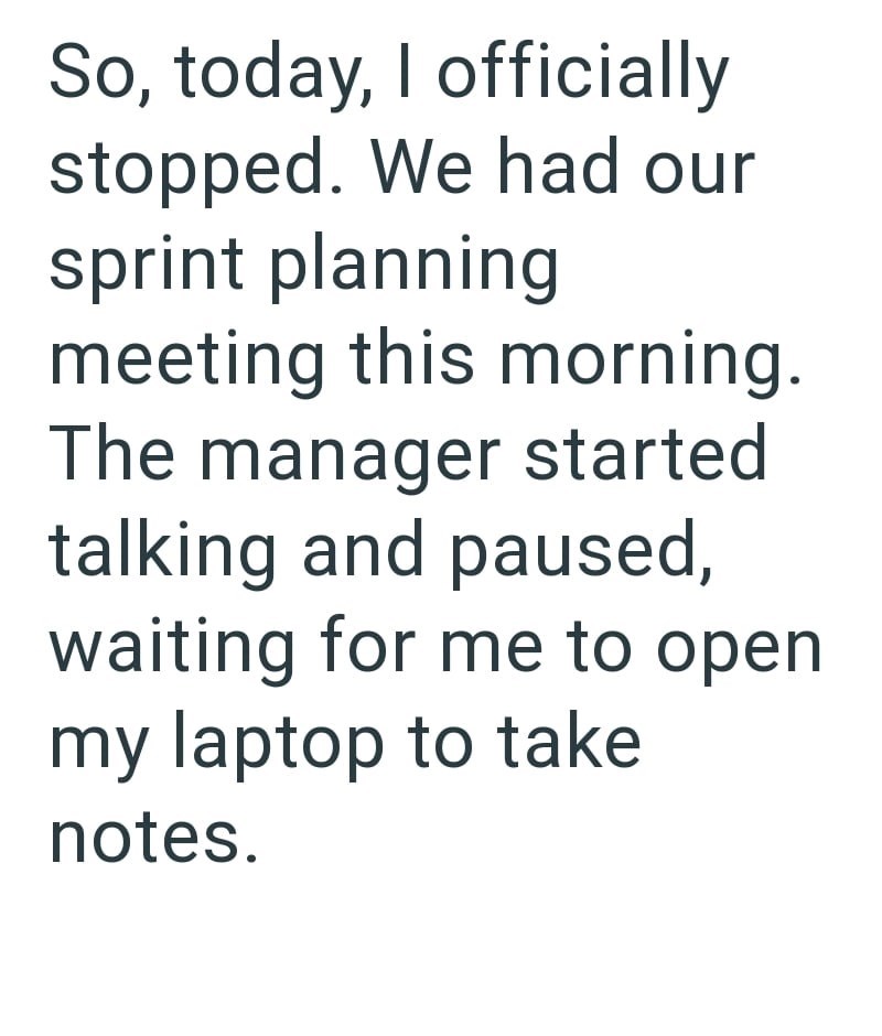 So, today, I officially stopped. We had our sprint planning meeting this morning. The manager started talking and paused, waiting for me to open my laptop to take notes.