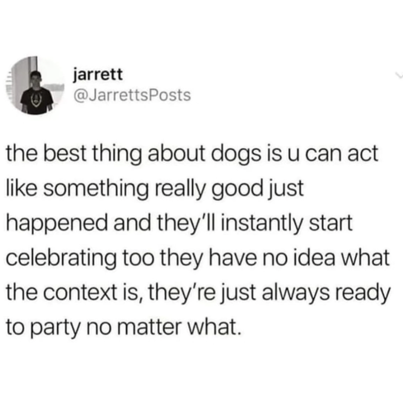 jarrett @JarrettsPosts the best thing about dogs is u can act like something really good just happened and they'll instantly start celebrating too they have no idea what the context is, they're just always ready to party no matter what.