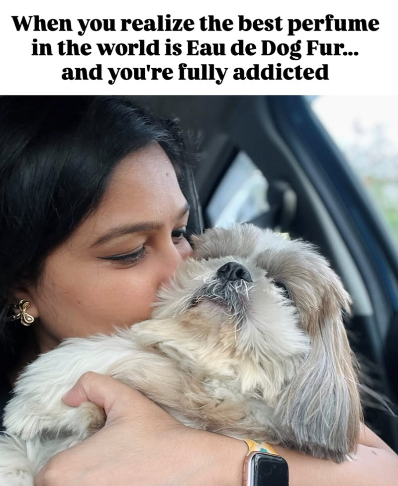 When you realize the best perfume in the world is Eau de Dog Fur... and you're fully addicted