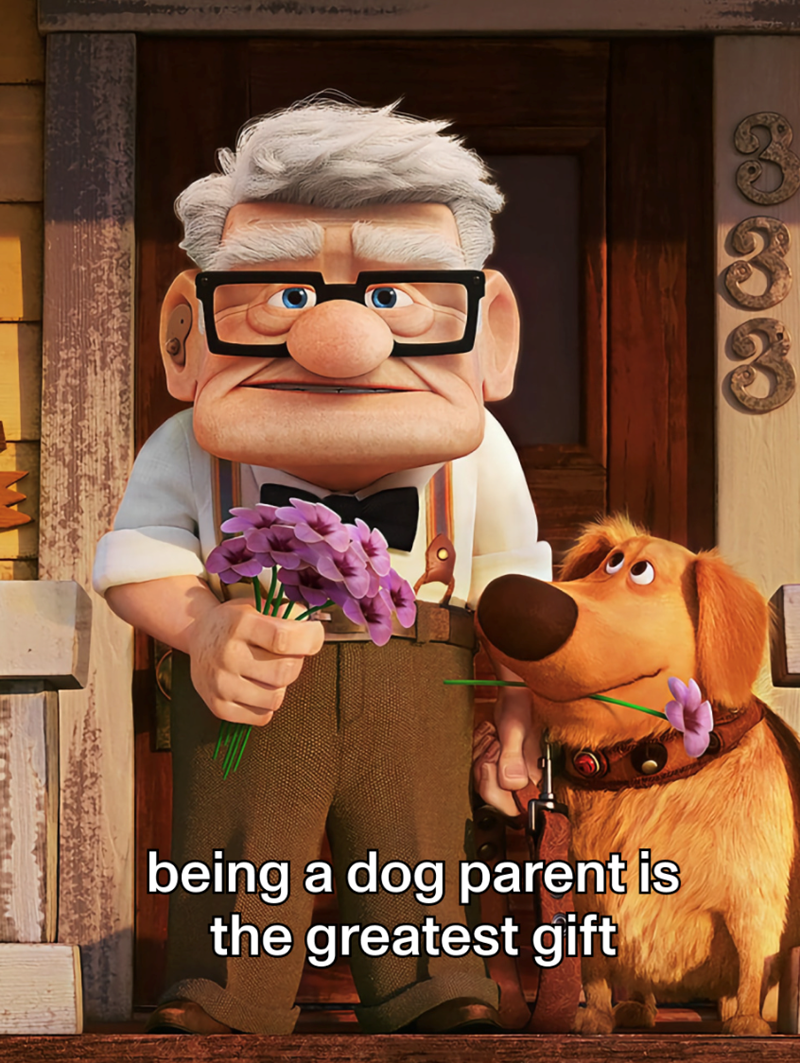 being a dog parent is the greatest gift