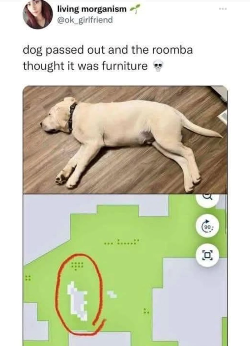 www living morganism @ok_girlfriend dog passed out and the roomba thought it was furniture 5 48 90 0