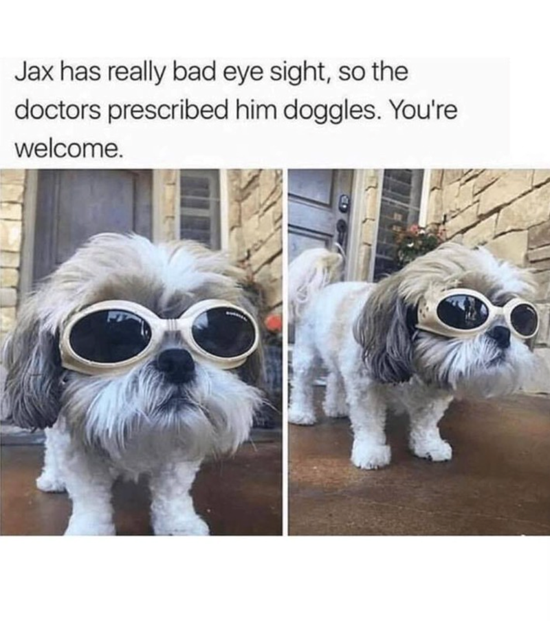 Jax has really bad eye sight, so the doctors prescribed him doggles. You're welcome.