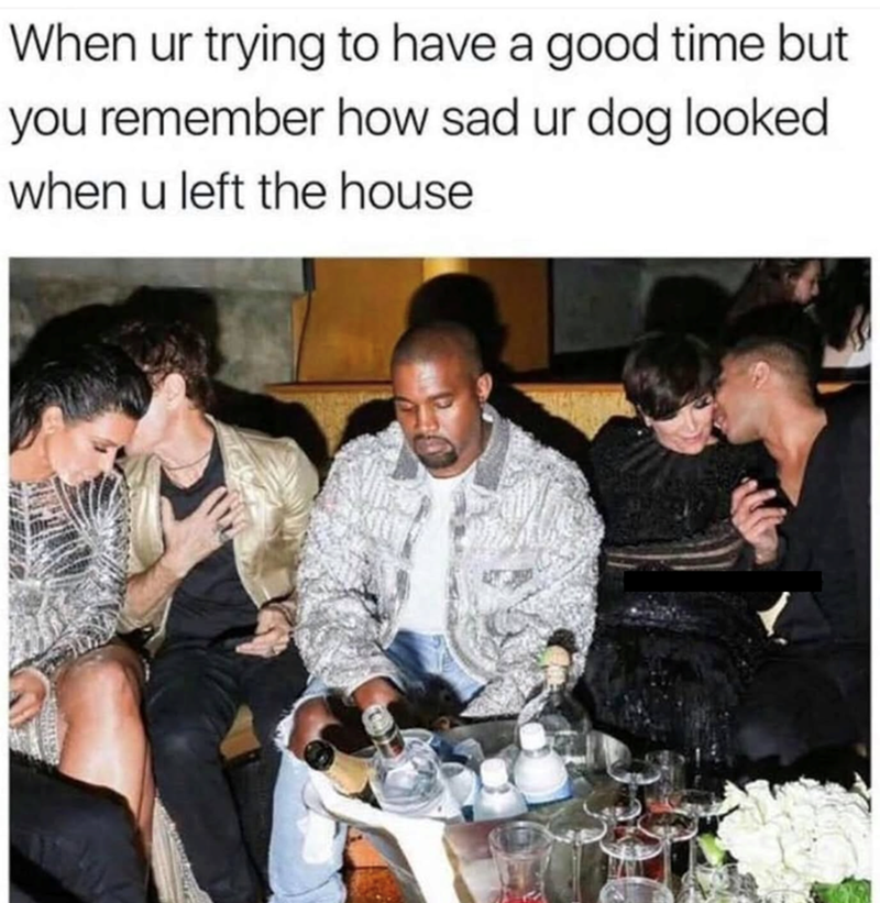 When ur trying to have a good time but you remember how sad ur dog looked when u left the house