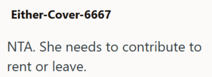 Either-Cover-6667 NTA. She needs to contribute to rent or leave.
