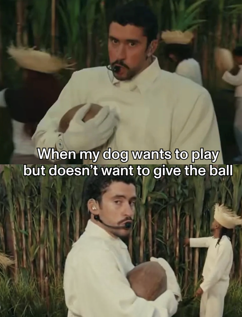 When my dog wants to play but doesn't want to give the ball