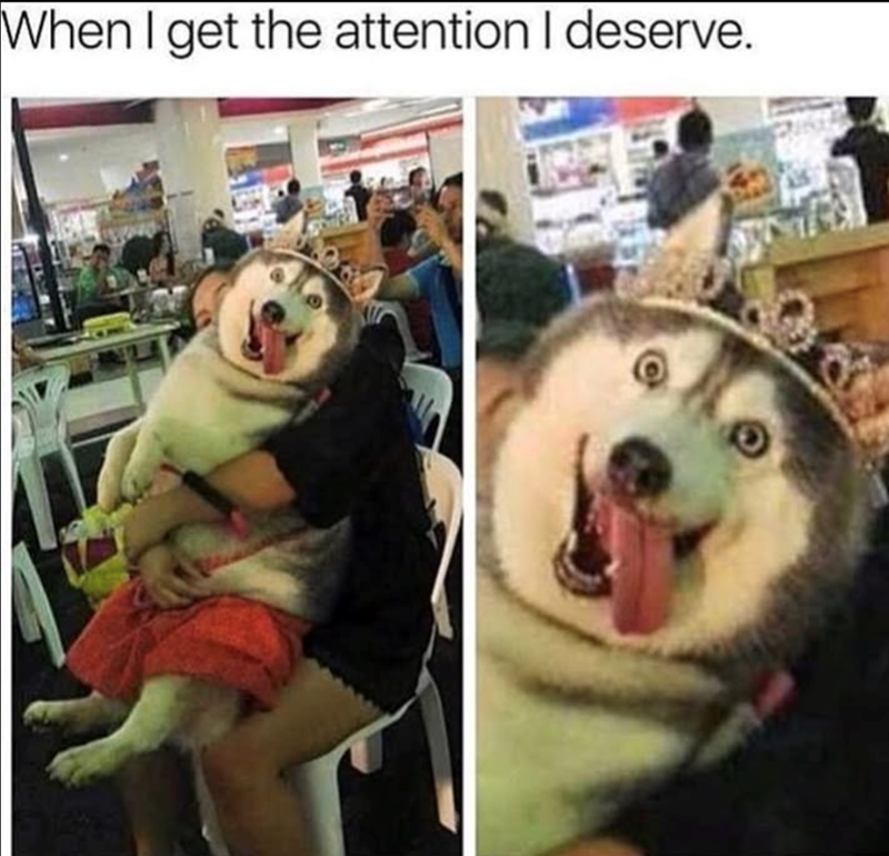 When I get the attention I deserve.