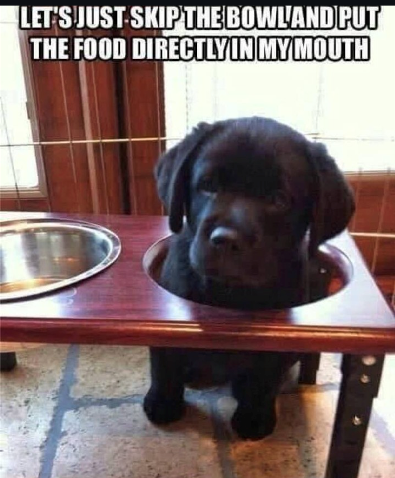 LET'S JUST SKIP THE BOWLAND PUT THE FOOD DIRECTLY IN MY MOUTH