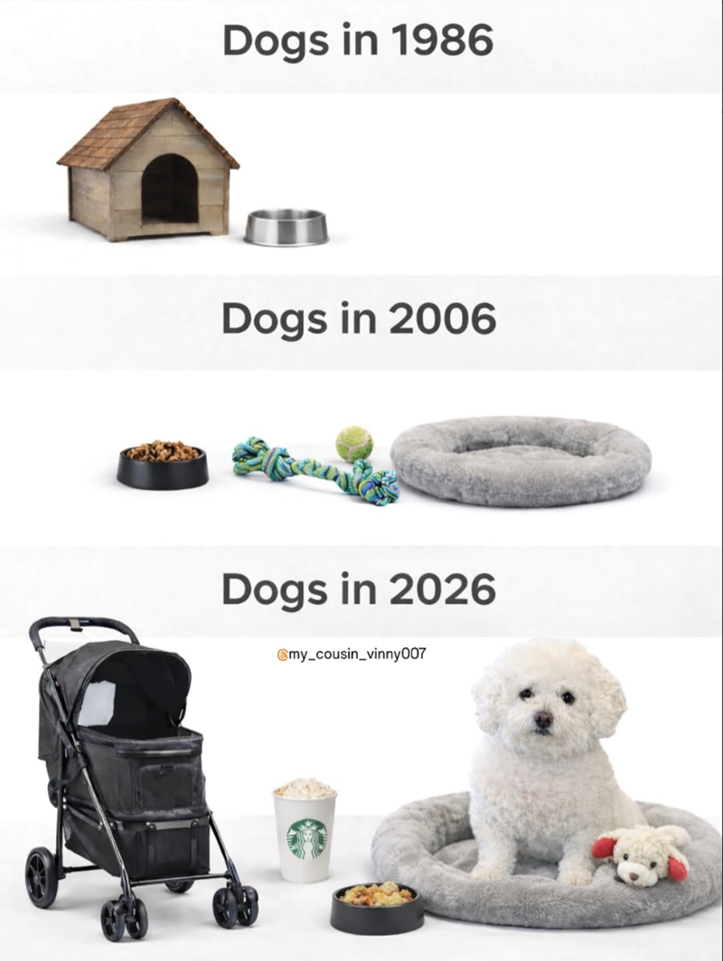 Dogs in 1986 Dogs in 2006 Dogs in 2026 @my_cousin_vinny007