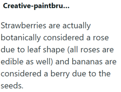 Creative-paintbru... Strawberries are actually botanically considered a rose due to leaf shape (all roses are edible as well) and bananas are considered a berry due to the seeds.