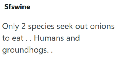 Sfswine Only 2 species seek out onions to eat.. Humans and groundhogs..