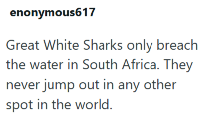 enonymous617 Great White Sharks only breach the water in South Africa. They never jump out in any other spot in the world.