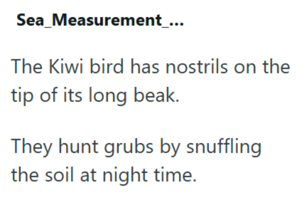 Sea_Measurement_... The Kiwi bird has nostrils on the tip of its long beak. They hunt grubs by snuffling the soil at night time.