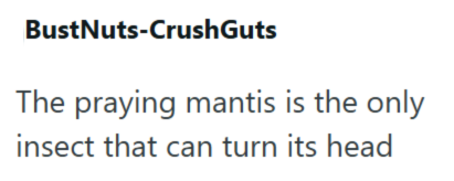 BustNuts-CrushGuts The praying mantis is the only insect that can turn its head