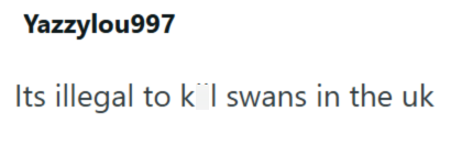 Yazzylou997 Its illegal to kl swans in the uk