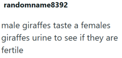 randomname8392 male giraffes taste a females giraffes urine to see if they are fertile