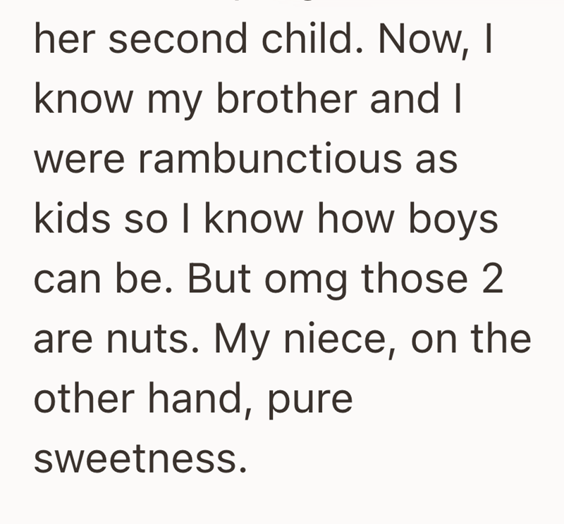 her second child. Now, I know my brother and I were rambunctious as kids so I know how boys can be. But omg those 2 are nuts. My niece, on the other hand, pure sweetness.