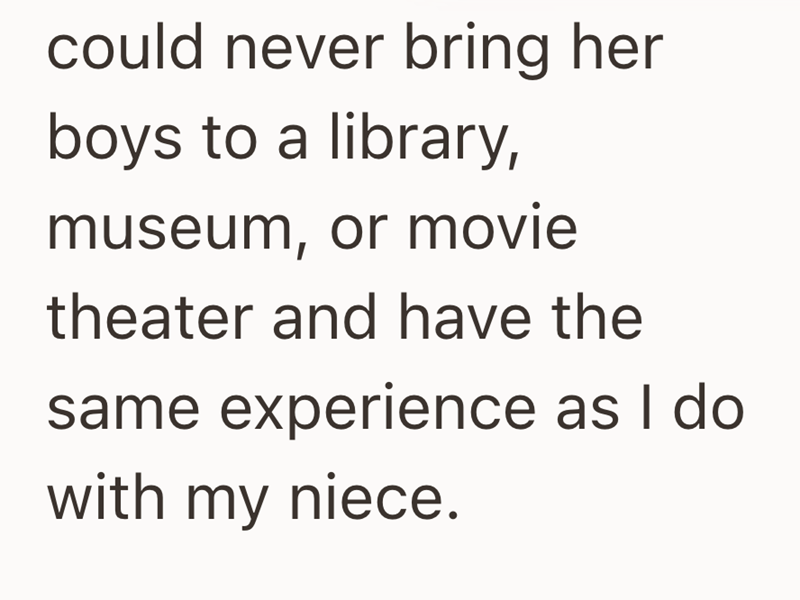 could never bring her boys to a library, museum, or movie theater and have the same experience as I do with my niece.