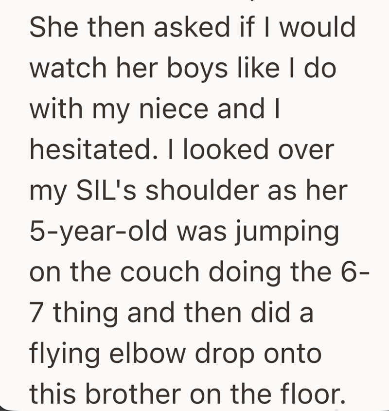 She then asked if I would watch her boys like I do with my niece and I hesitated. I looked over my SIL's shoulder as her 5-year-old was jumping on the couch doing the 6- 7 thing and then did a flying elbow drop onto this brother on the floor.