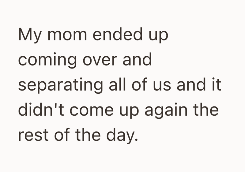 My mom ended up coming over and separating all of us and it didn't come up again the rest of the day.