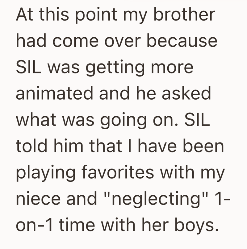 At this point my brother had come over because SIL was getting more animated and he asked what was going on. SIL told him that I have been playing favorites with my niece and "neglecting" 1- on-1 time with her boys.